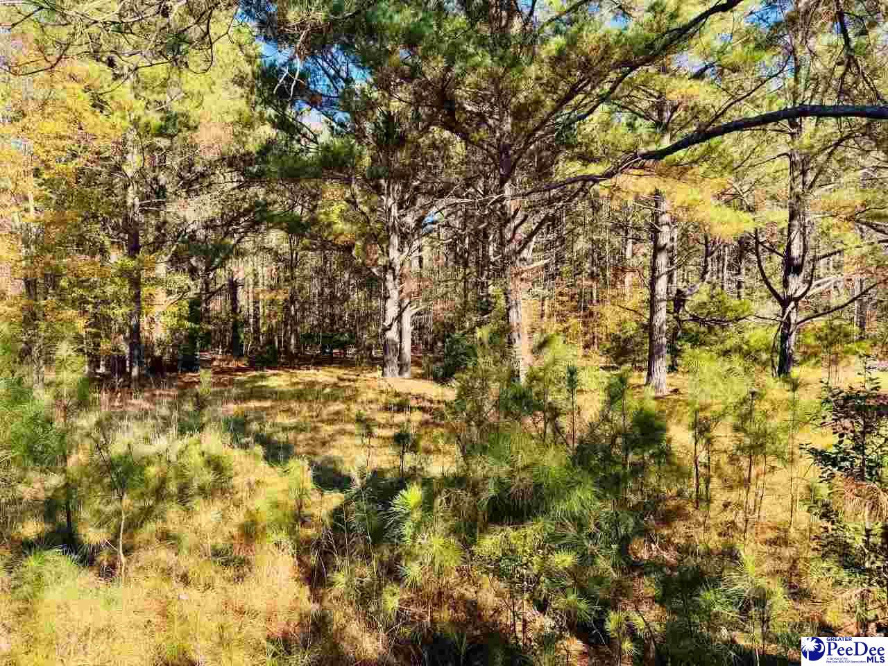 1682 Odom Road