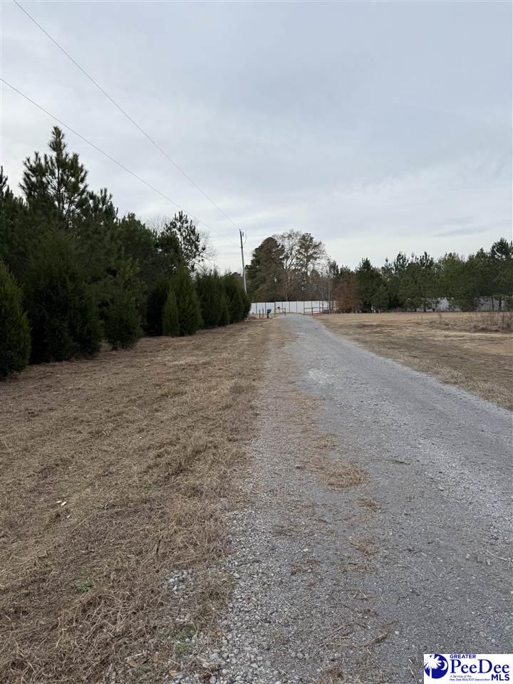 TBD Lee Lane