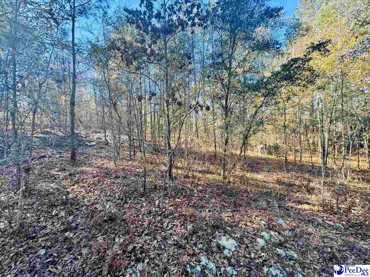 5073 Pleasant Hill Road