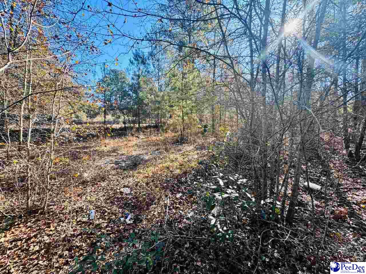 5073 Pleasant Hill Road