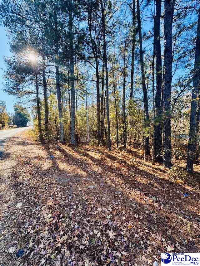 5073 Pleasant Hill Road