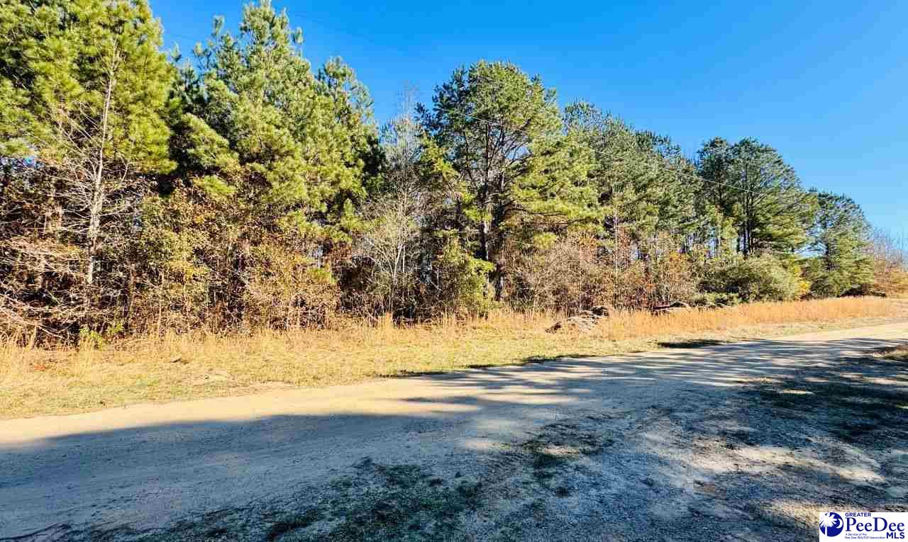 Sherrill Road