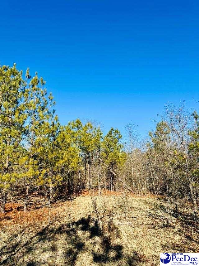 Old Wire Road West