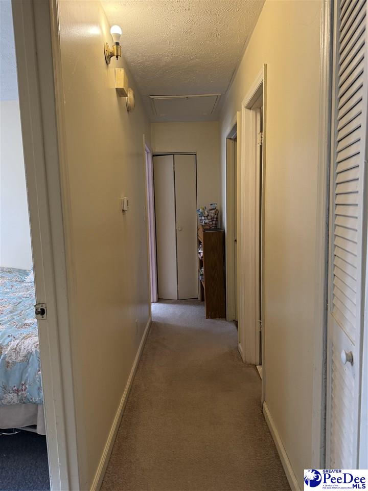 204 Dianne Drive