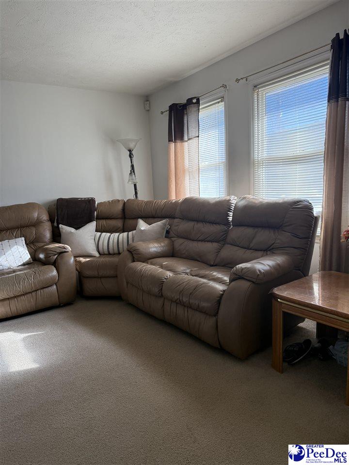 204 Dianne Drive