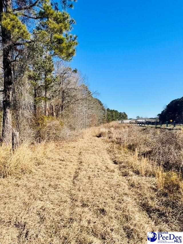 Hwy 9 W