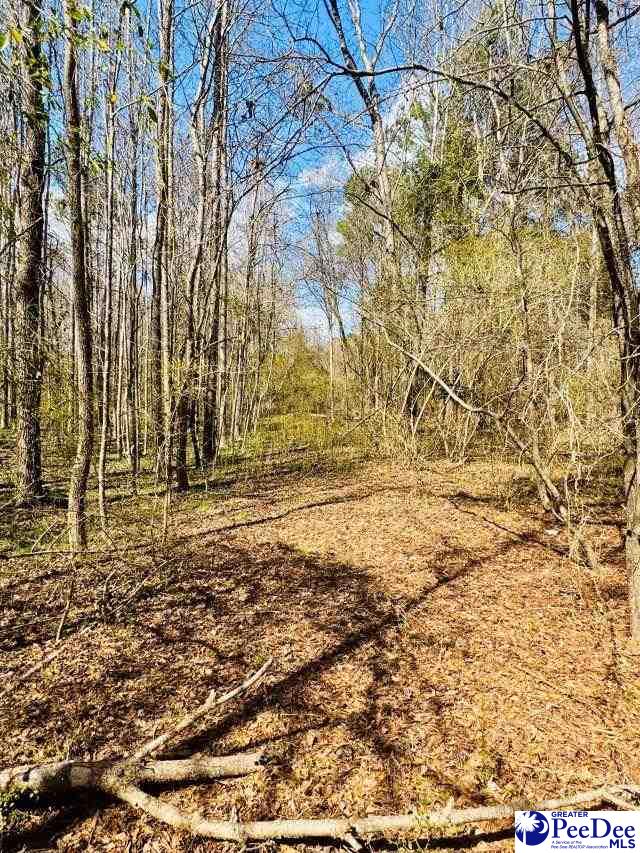 Sherrill Rd