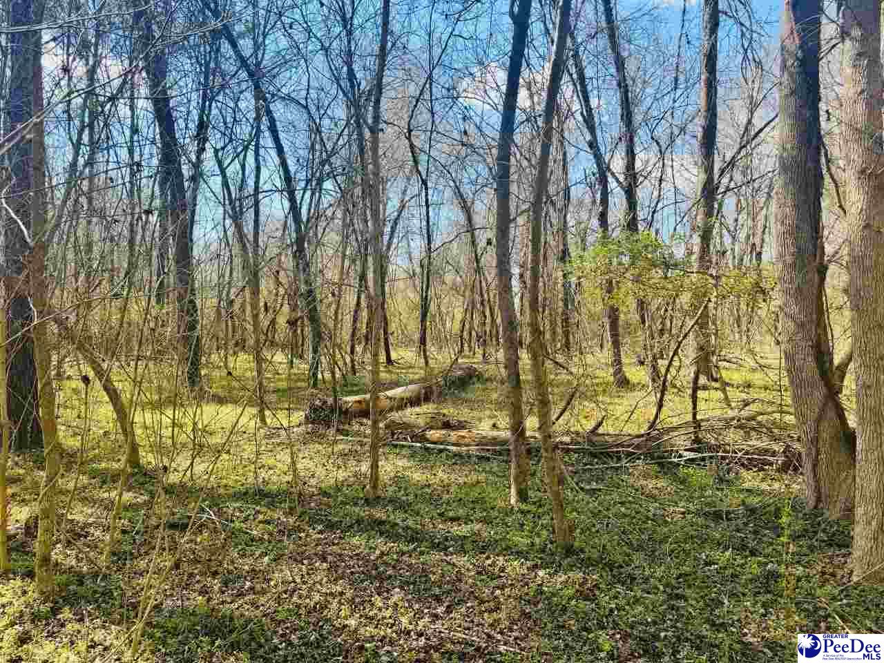 Sherrill Rd