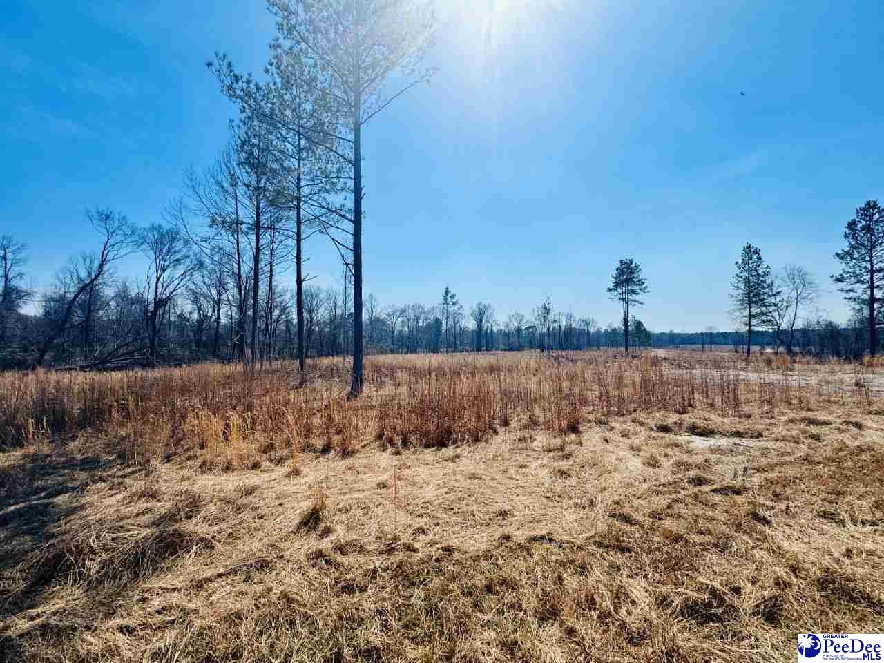 0000 Woodbine Rd (Lot 3)