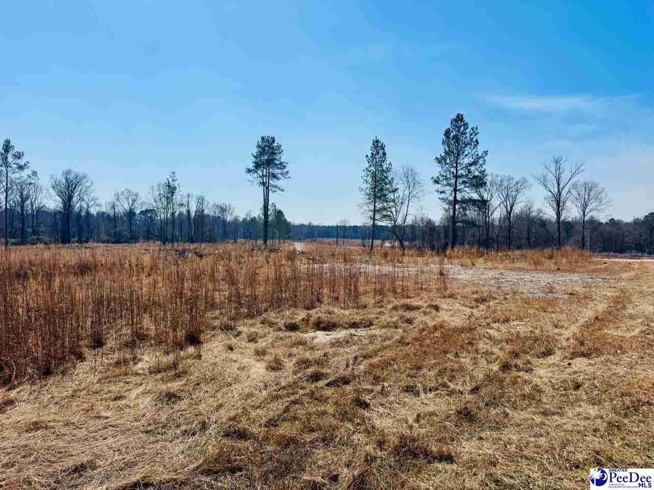 0000 Woodbine Rd (Lot 3)