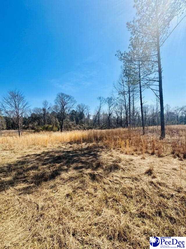0000 Woodbine Rd (Lot 3)