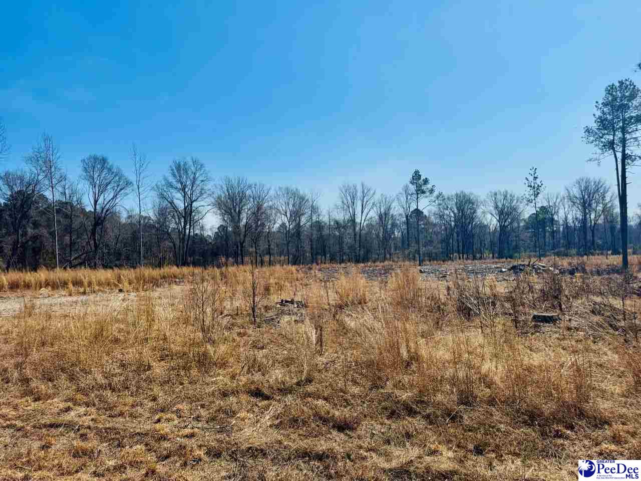 0000 Woodbine Rd (Lot 3)