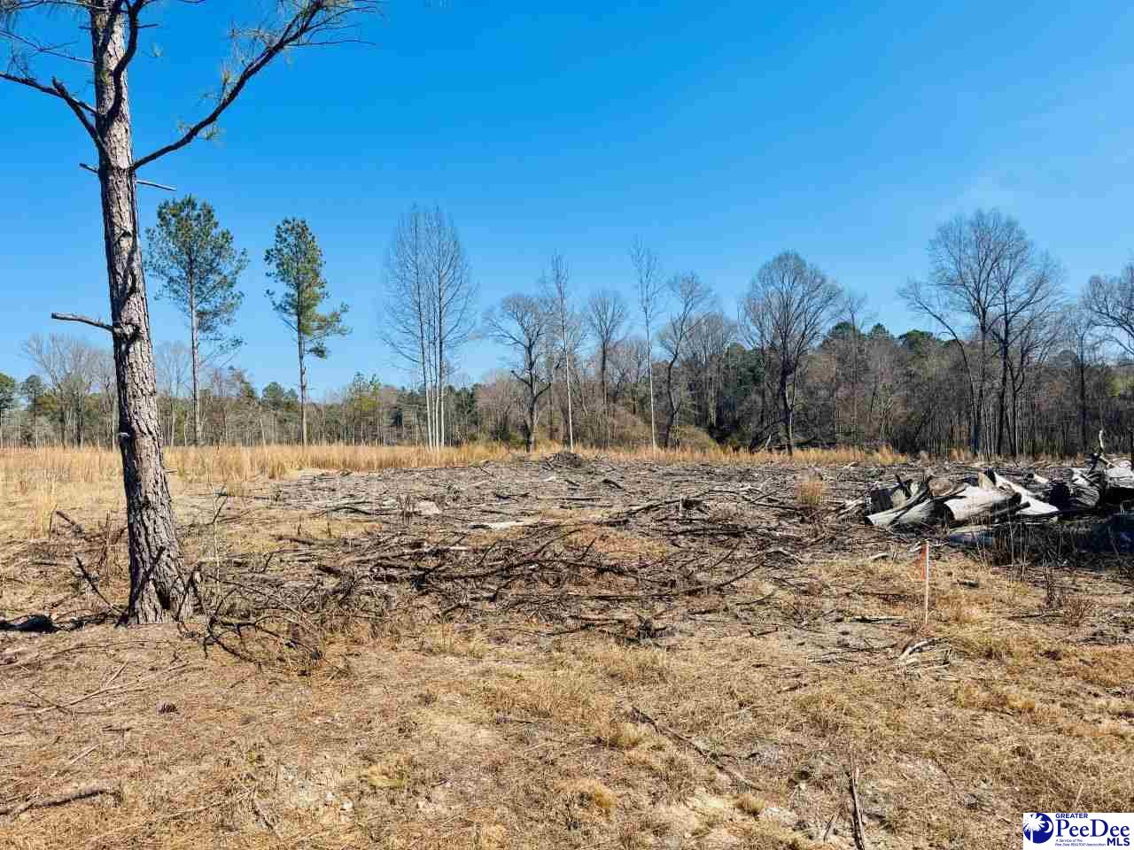 0000 Woodbine Rd (Lot 3)