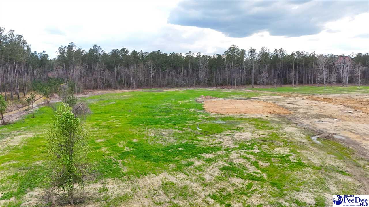 Photo of TBD Pandoras Path, Timmonsville, SC 29161