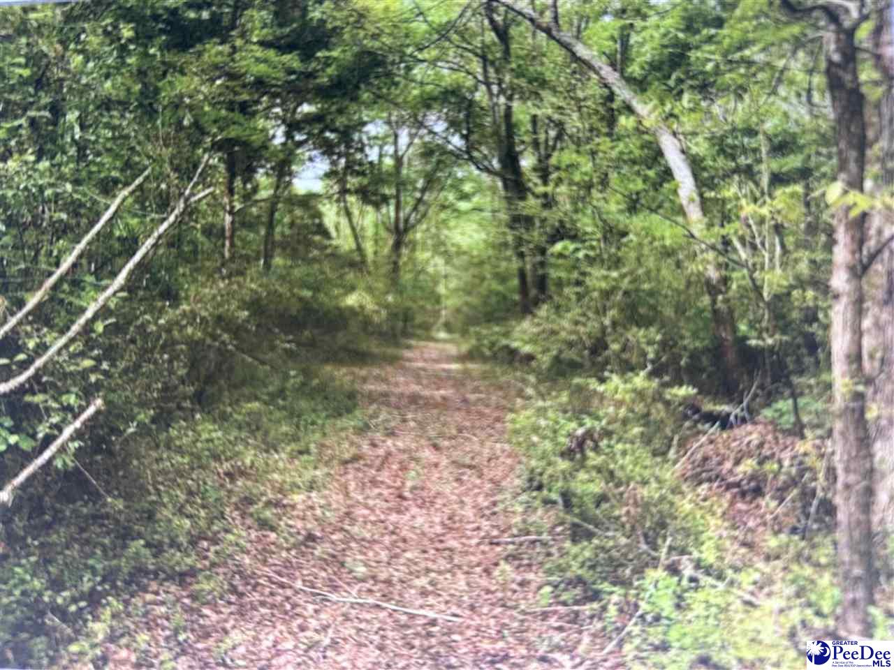TBD Rollings Road