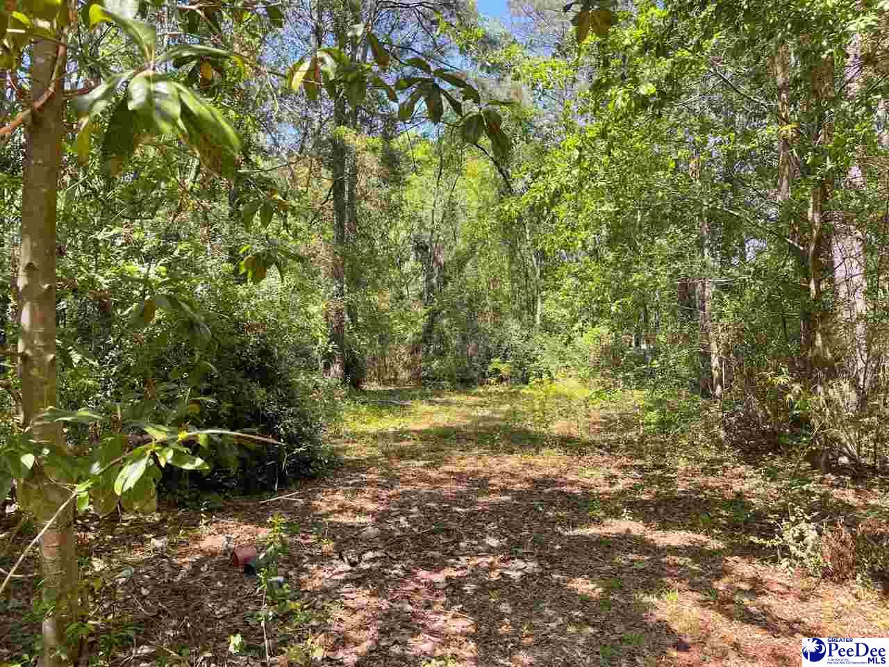 383 Isgett Circle