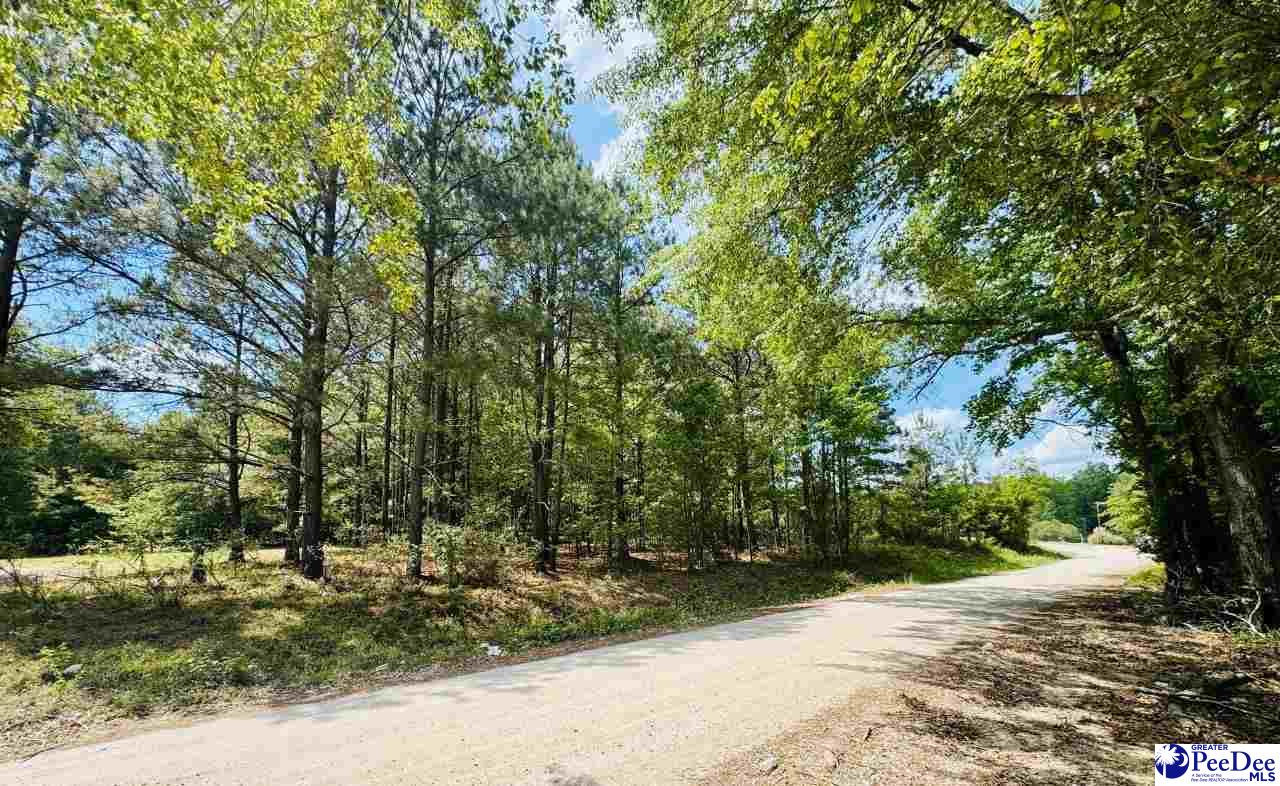385 Elbert Baskins Rd