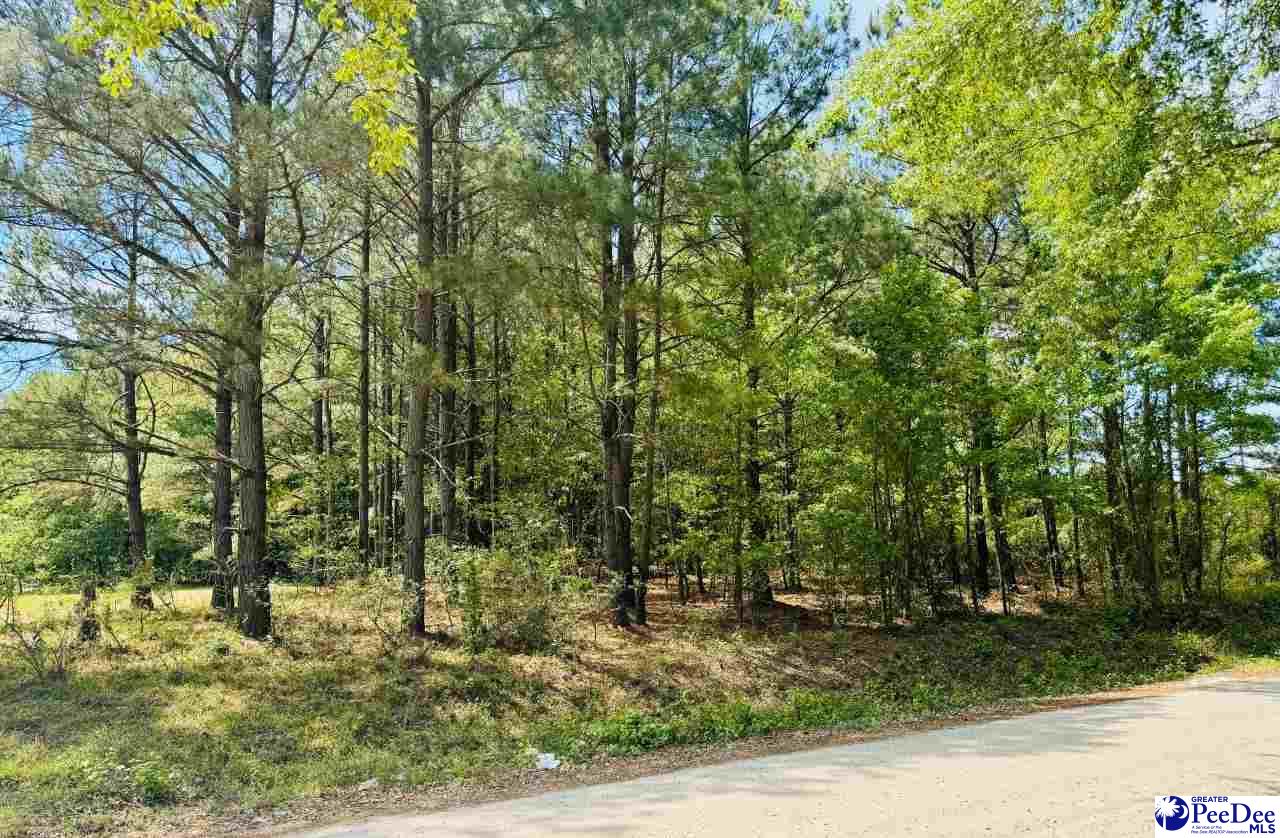385 Elbert Baskins Rd