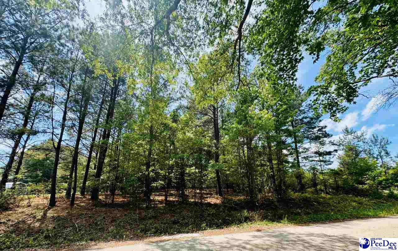 385 Elbert Baskins Rd