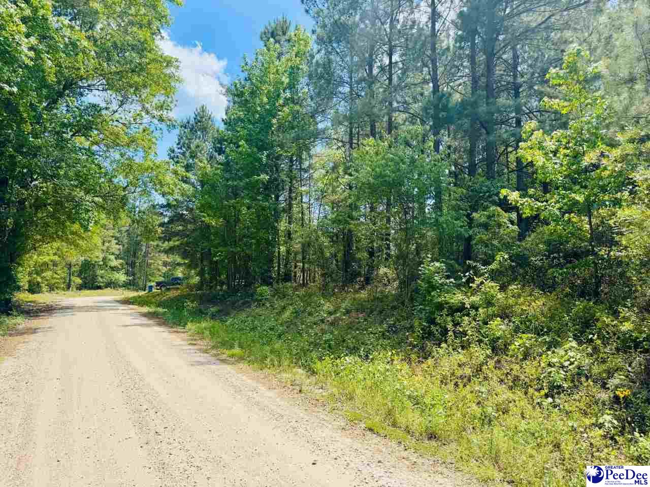 385 Elbert Baskins Rd