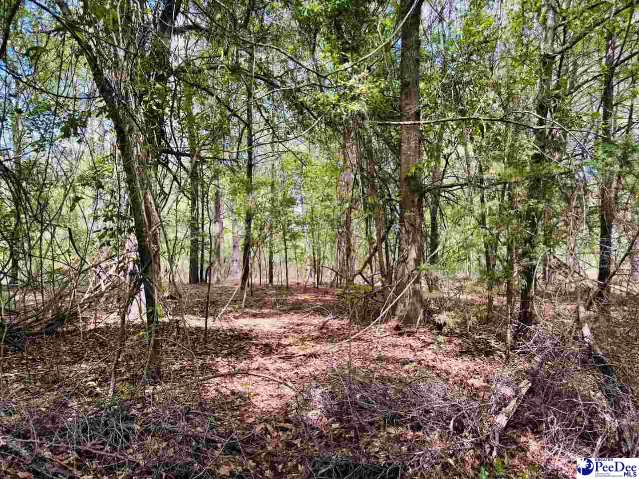 385 Elbert Baskins Rd