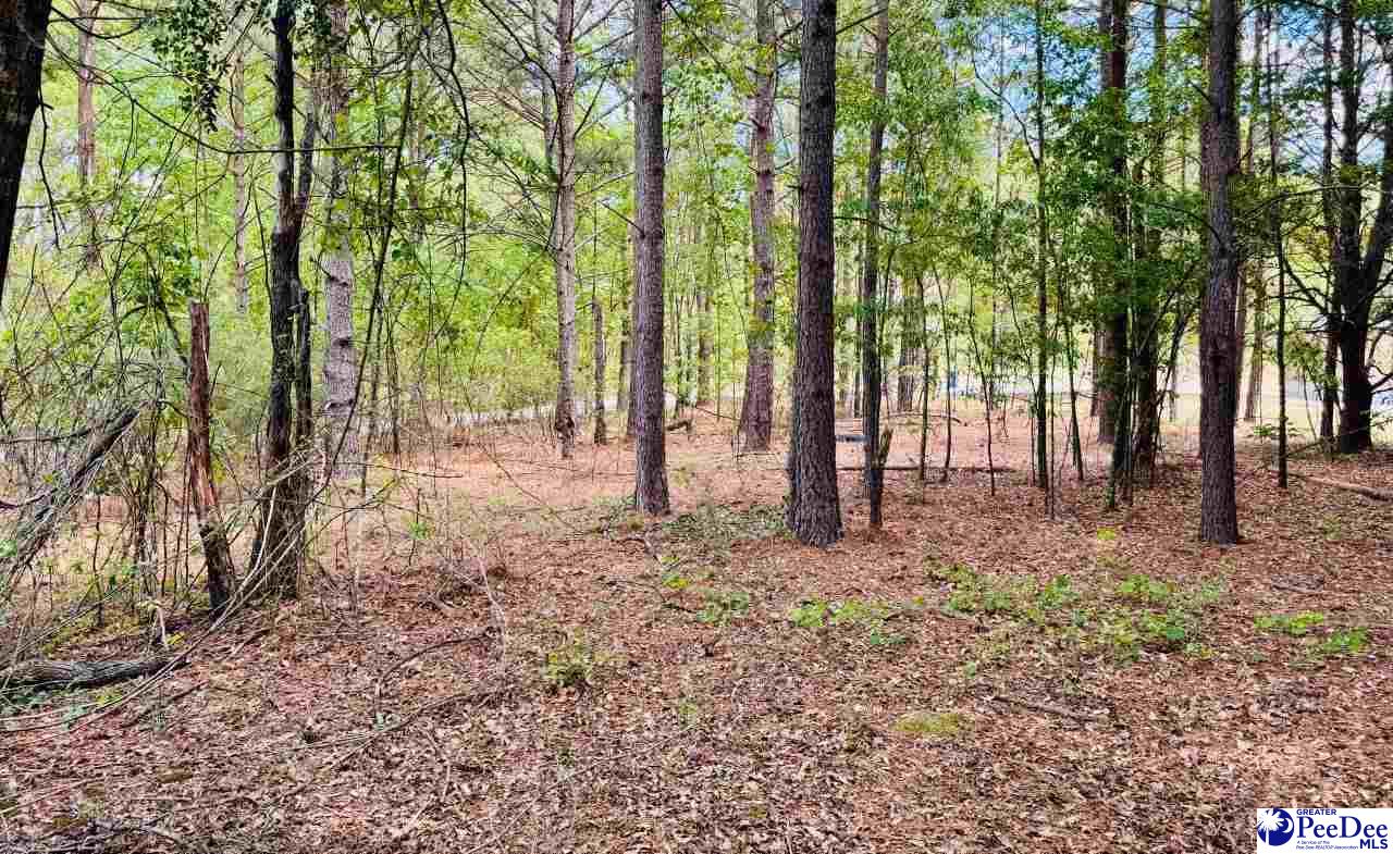 385 Elbert Baskins Rd