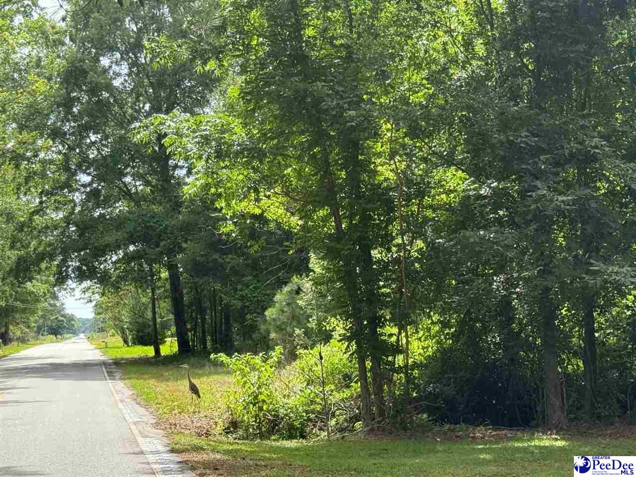 2931 Calhoun Road