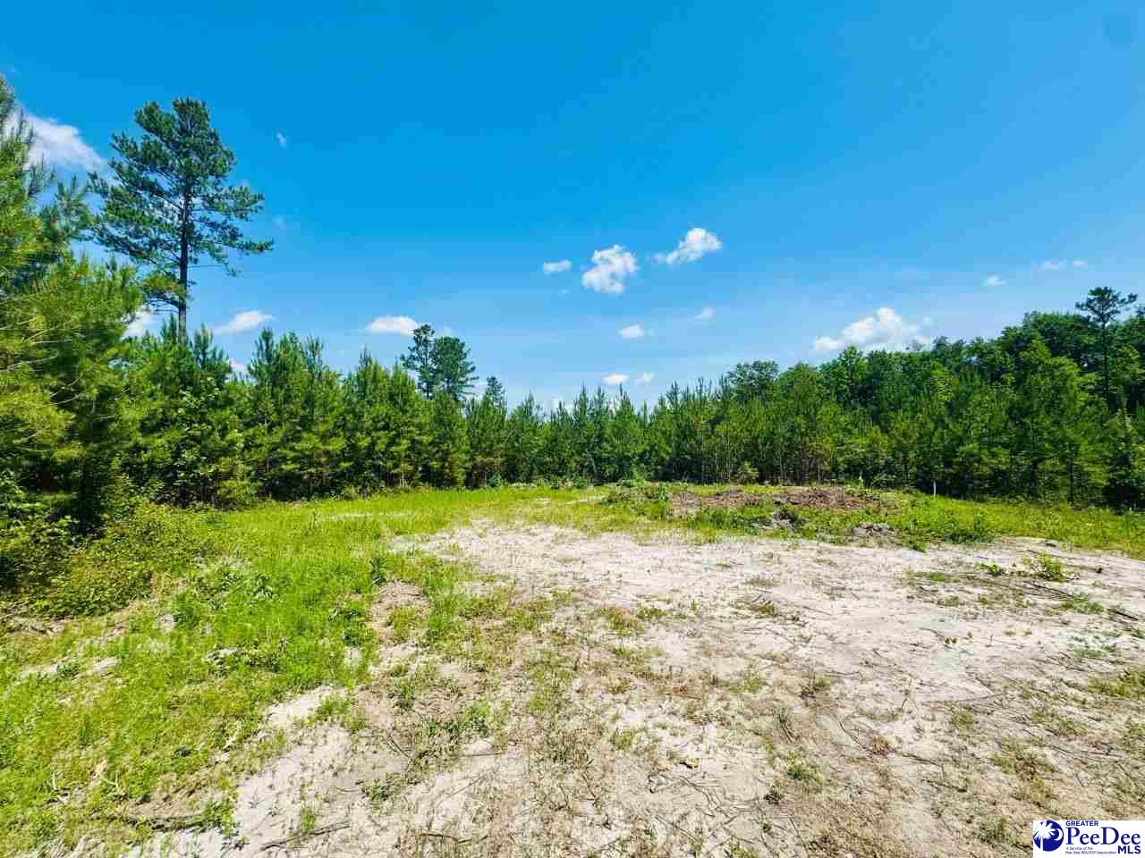 878 Beaver Run Rd