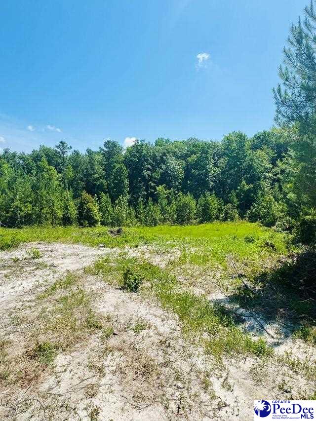 878 Beaver Run Rd