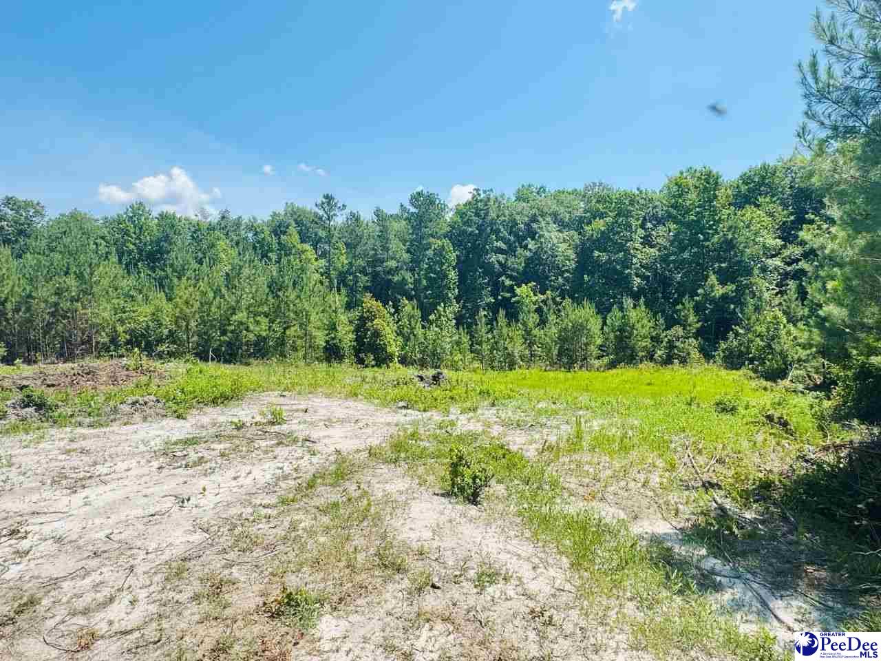 878 Beaver Run Rd