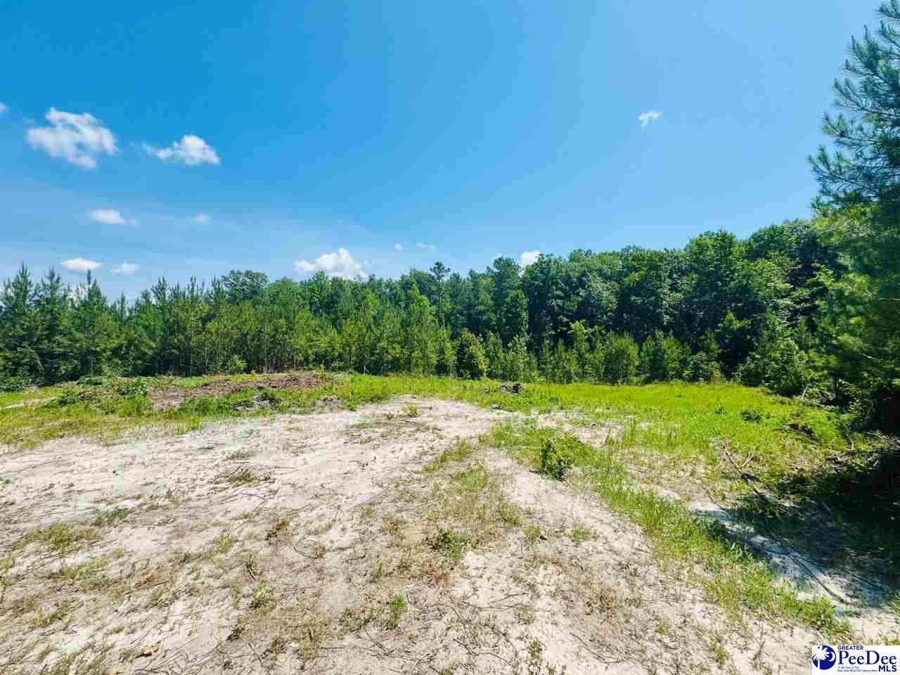 878 Beaver Run Rd