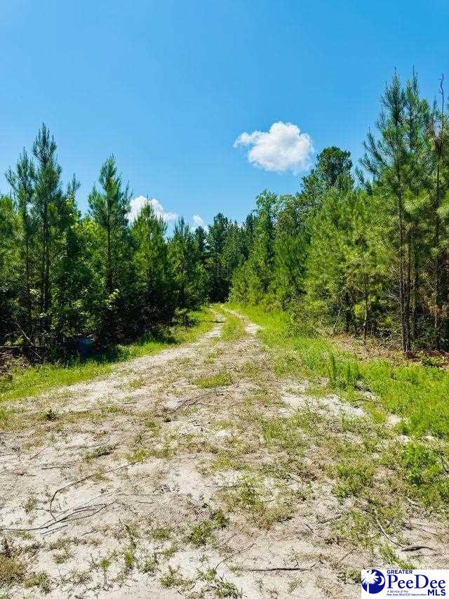 878 Beaver Run Rd