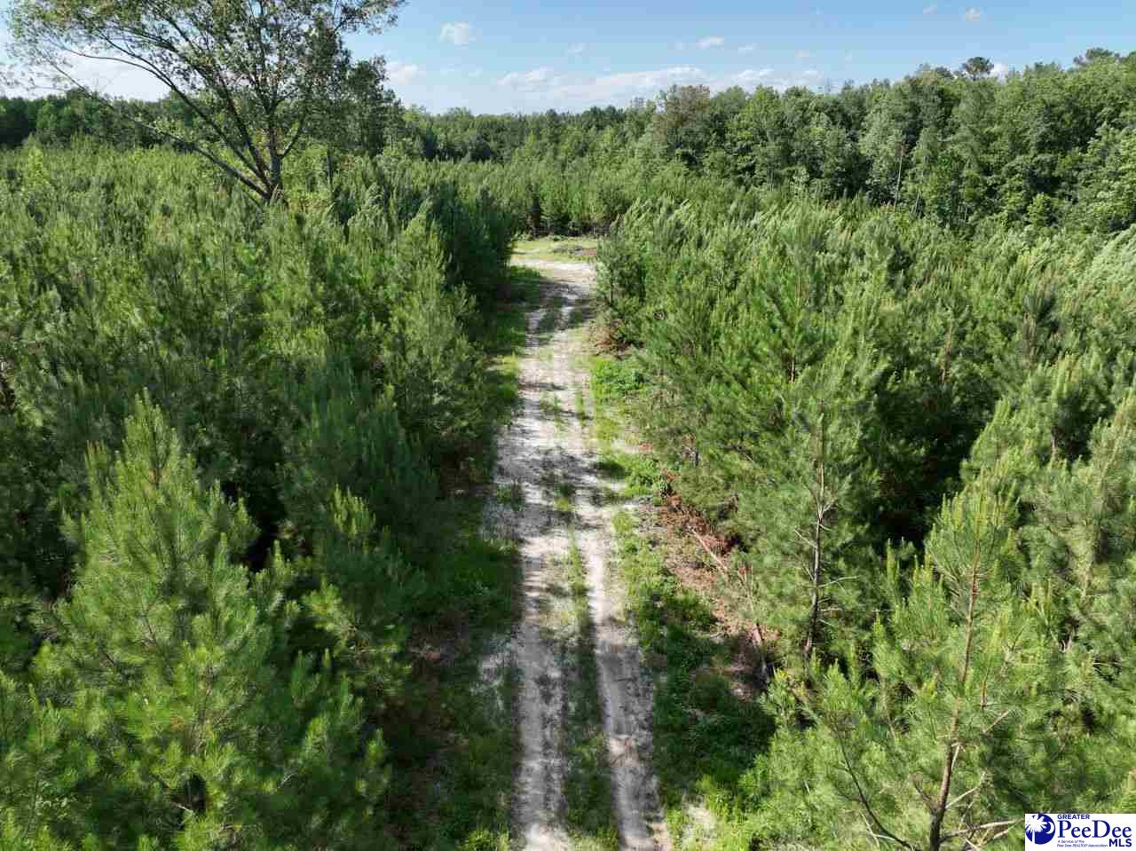 878 Beaver Run Rd
