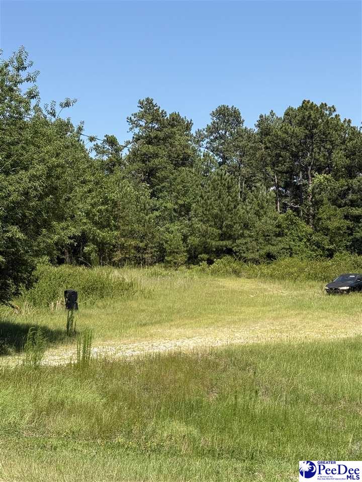 807 Brown Springs Church Road