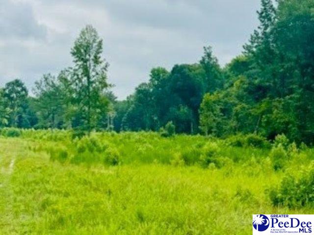 0000 Santa Anita Road