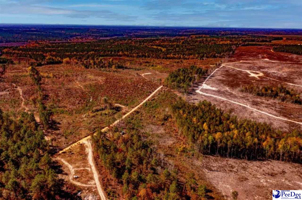 Gun-O-Field Rd