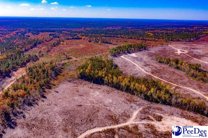 Gun-O-Field Rd