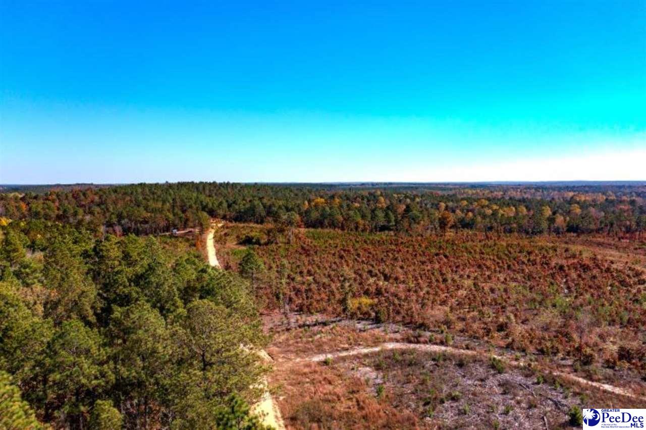 Gun-O-Field Rd