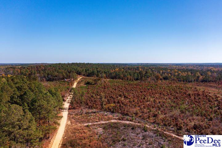 Gun-O-Field Rd