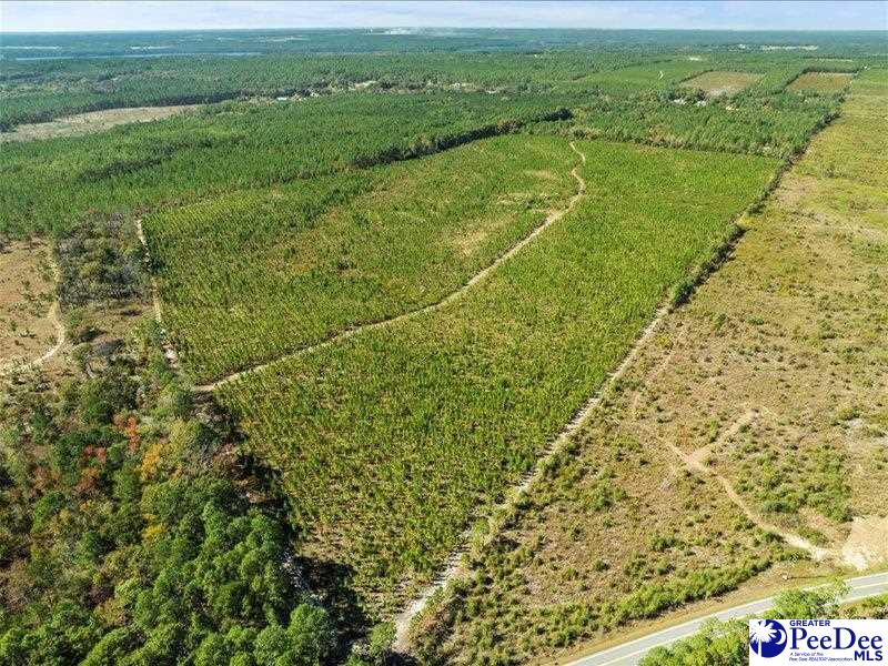 Ruby Rd (87.15 Acres)