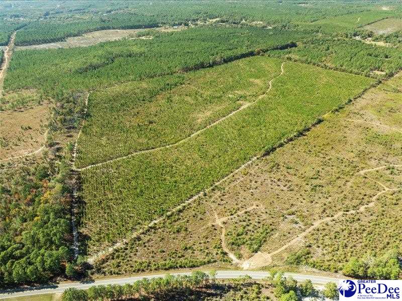 Ruby Rd (87.15 Acres)