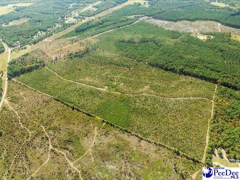 Ruby Rd (87.15 Acres)