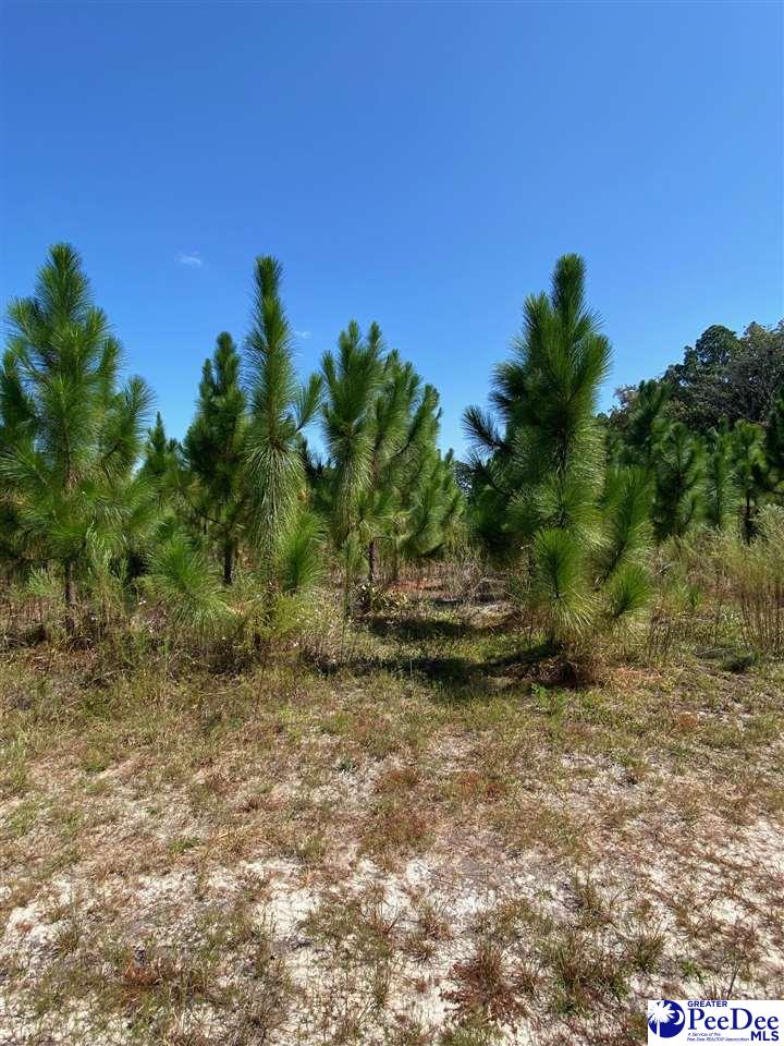 Ruby Rd (87.15 Acres)