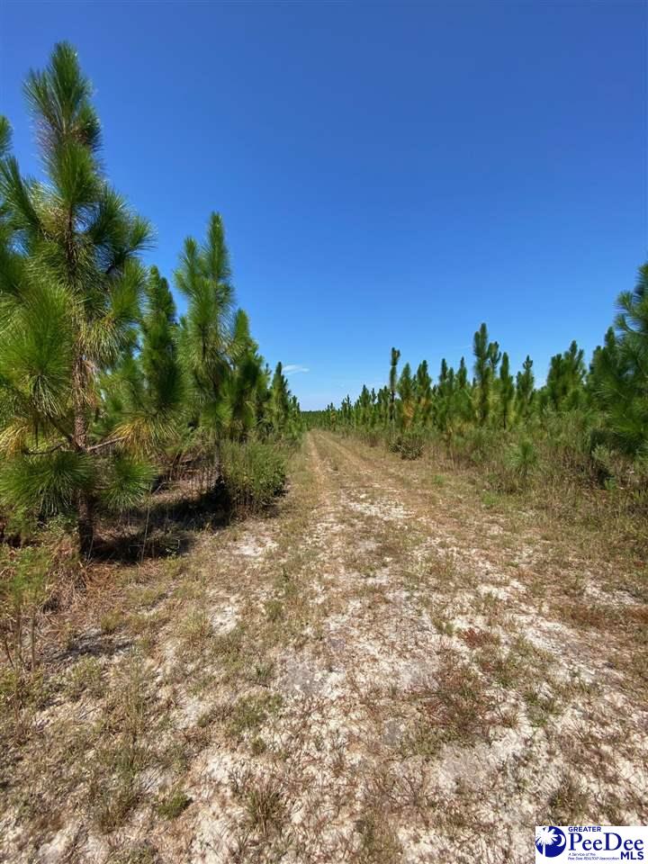 Ruby Rd (87.15 Acres)