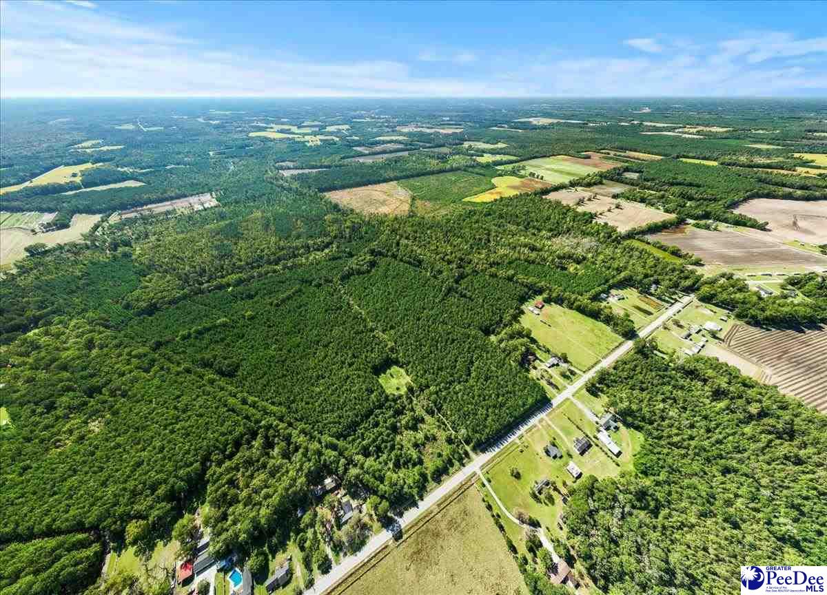 Photo of TBD E Friendfield Rd Tract A (48 Acres), Scranton, SC 29530