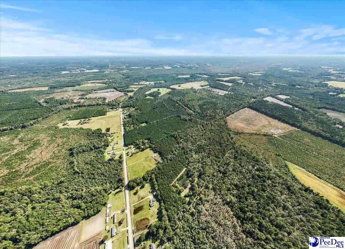 Photo of TBD E Friendfield Rd Tract B (47 Acres), Scranton, SC 29530