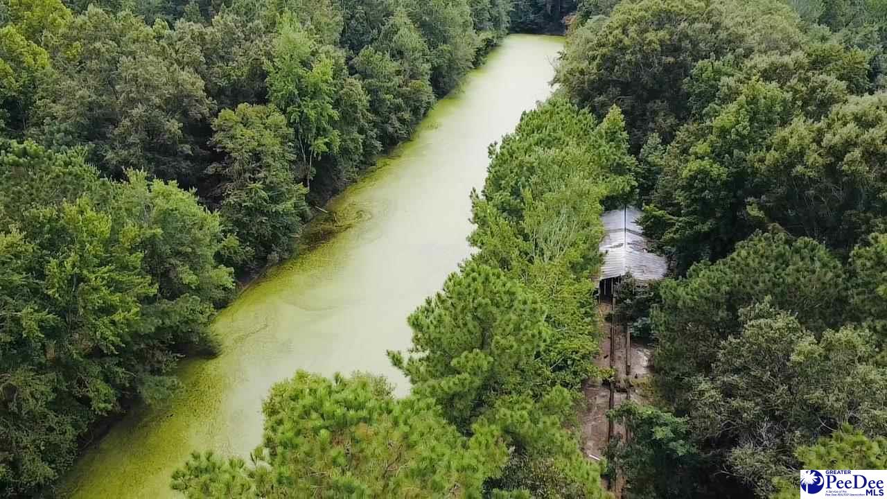 Photo of TBD E Friendfield Road Tract C (69 Acres), Coward, SC 29530