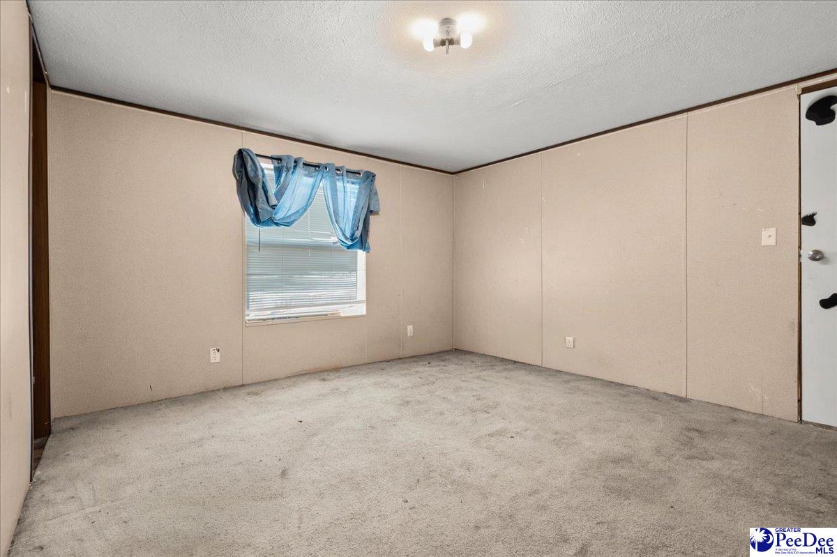 102 Dolly Moore Lane