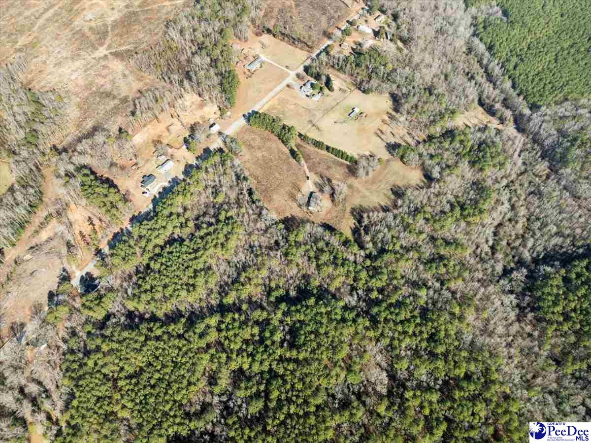 102 Dolly Moore Lane