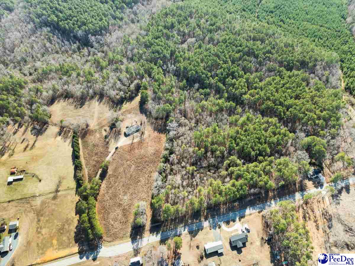 102 Dolly Moore Lane